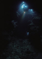   Devils Grotto Grand Cayman. Nikonos RS 13mm lens. No strobe. Cayman lens strobe  